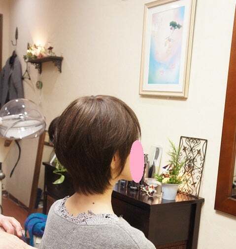 o0479050414334175620