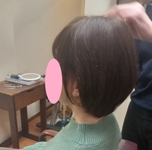 DSC_2079_コピー